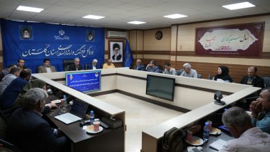 چالشهای روزنامههای استانی در مسیر توسعه و سهم آگهیهای دولتی
